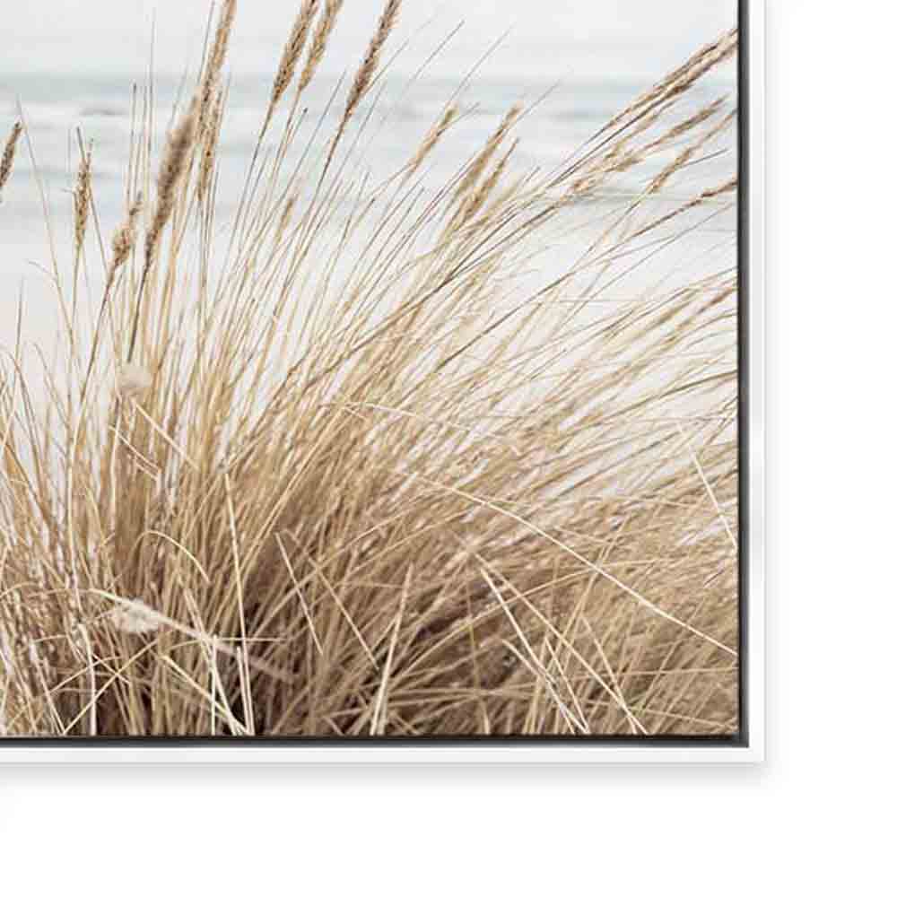 Marram | Landscape
