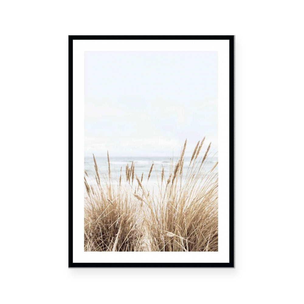 Marram | Portrait