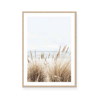 Marram | Portrait