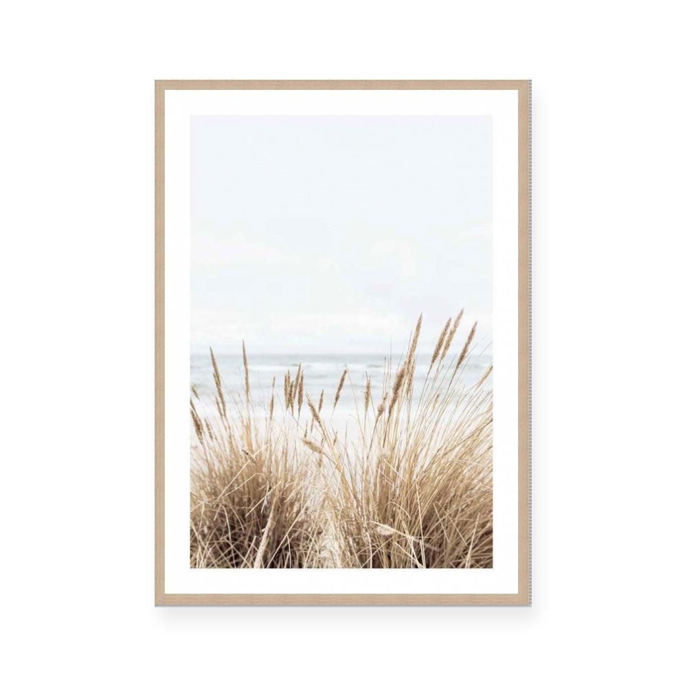 Marram | Portrait
