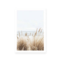 Marram | Portrait