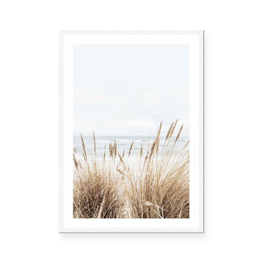 Marram | Portrait