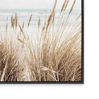 Marram | Portrait