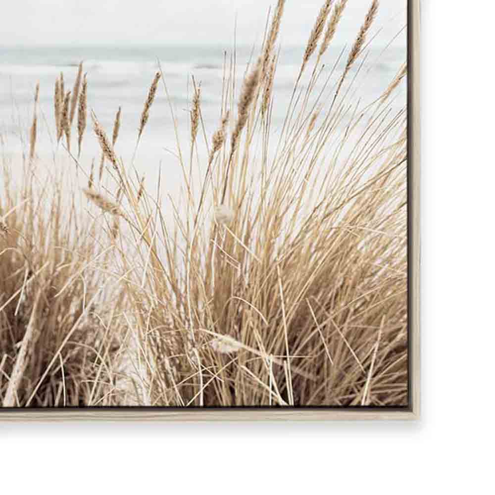 Marram | Portrait
