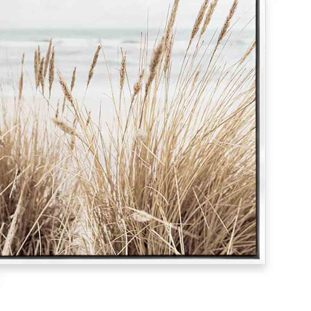 Marram | Portrait