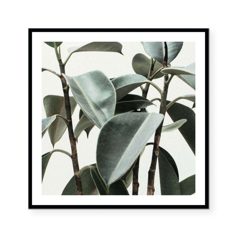 Mid Century Modern I