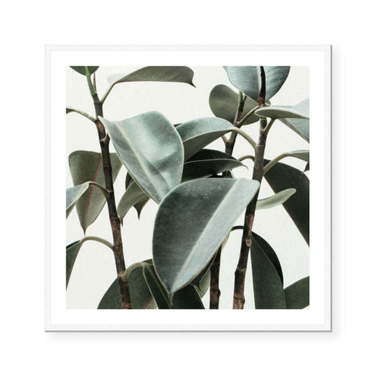 Mid Century Modern I