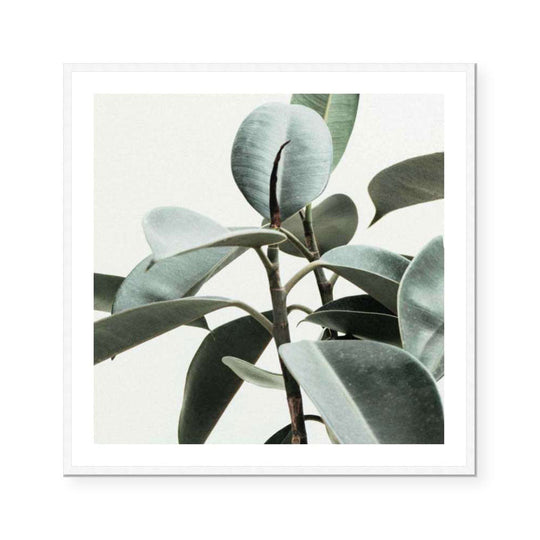 Mid Century Modern II