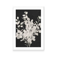 Misty Branches I