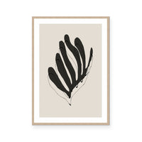 Modern Botanical