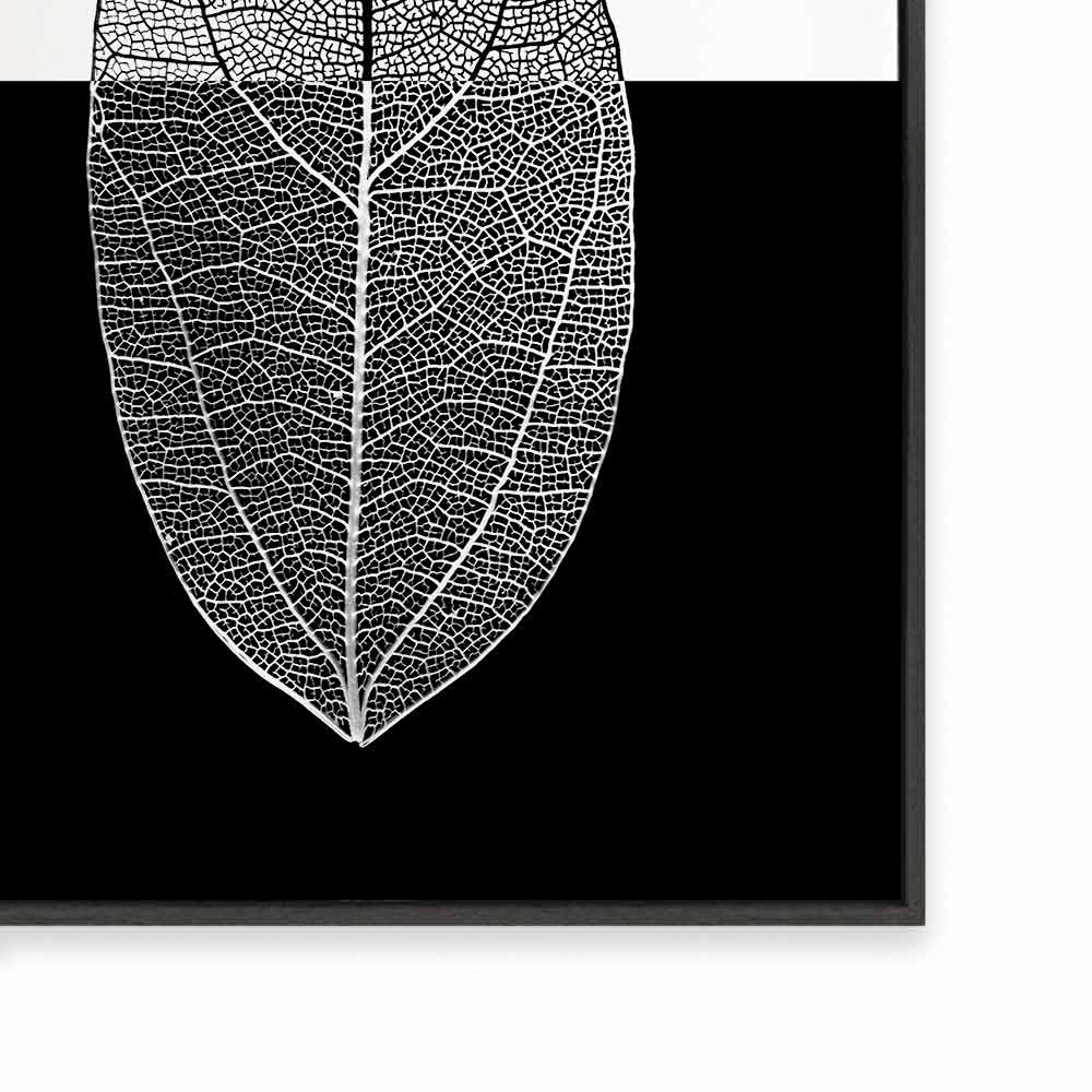 Mono Leaf II