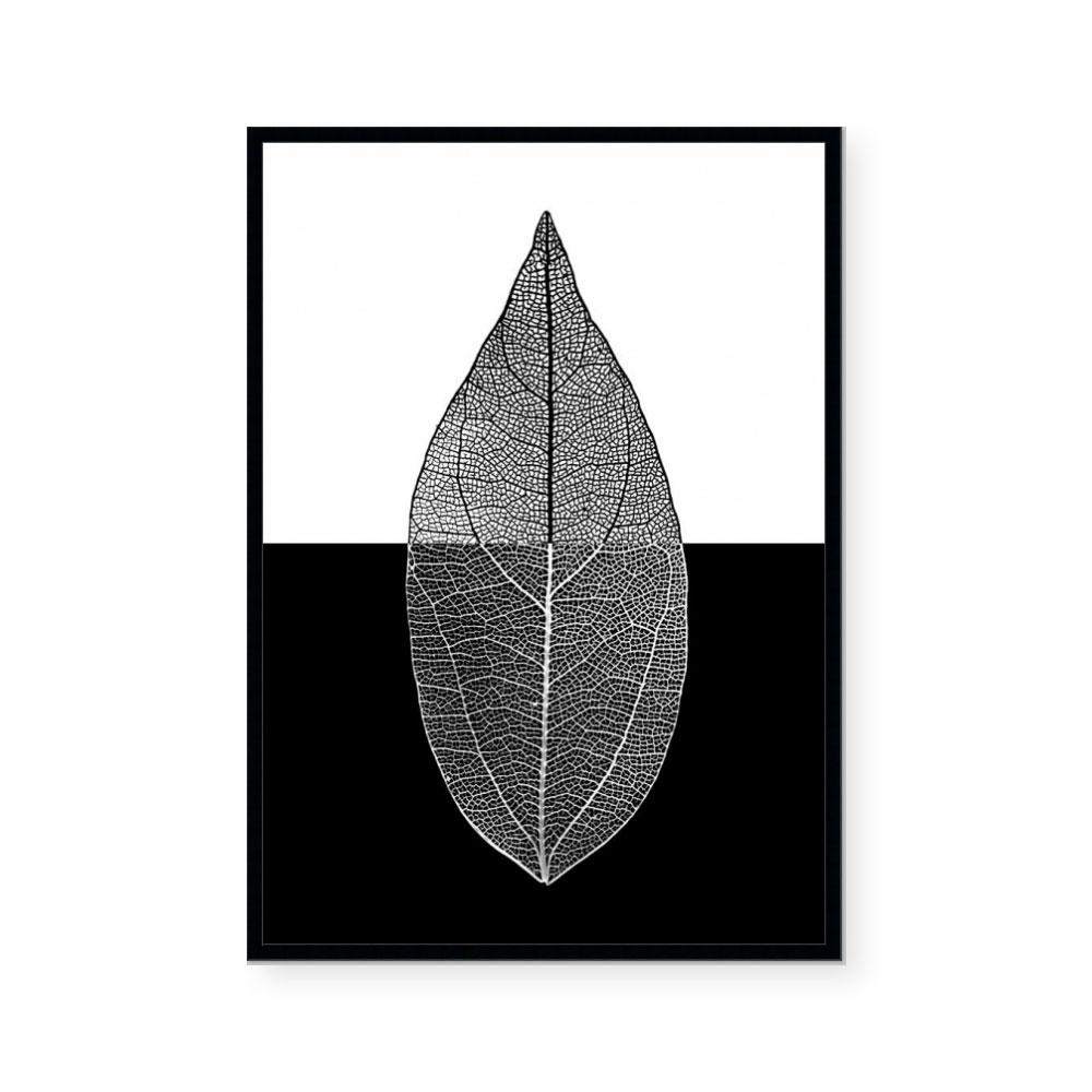 Mono Leaf II