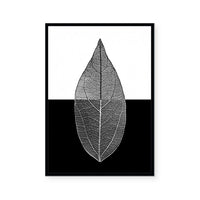 Mono Leaf II