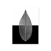 Mono Leaf II