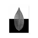 Mono Leaf II