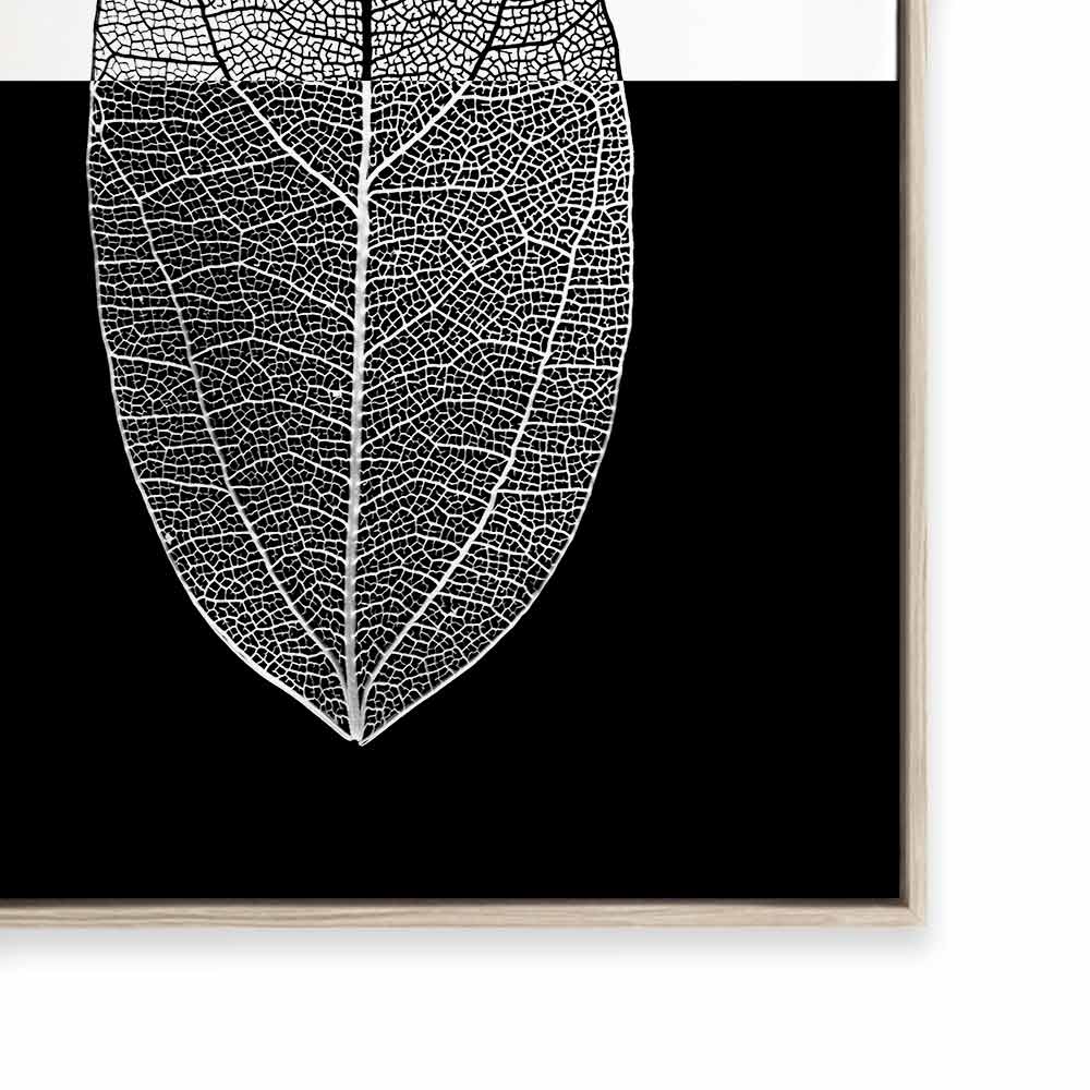 Mono Leaf II