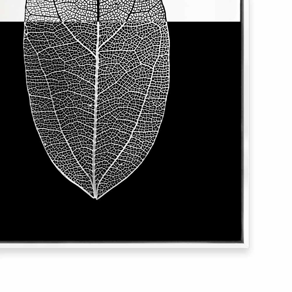 Mono Leaf II