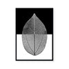 Mono Leaf I