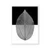 Mono Leaf I