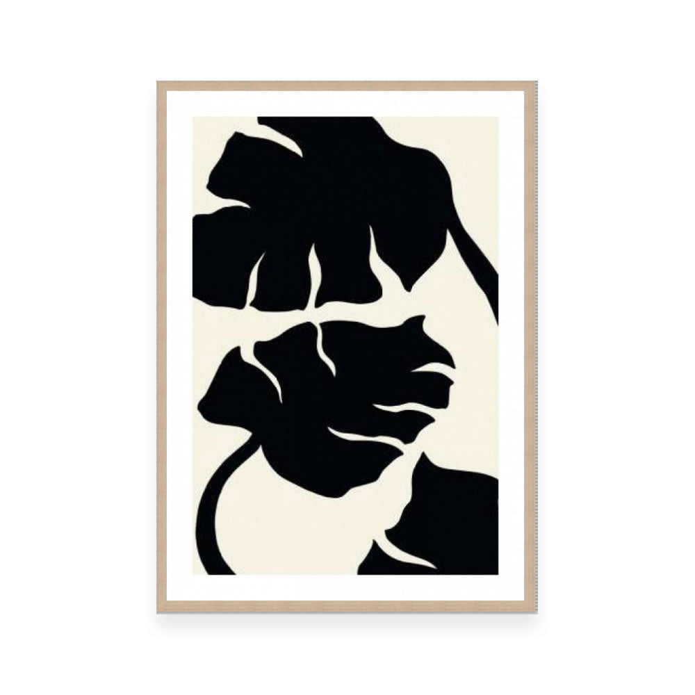 Monstera Black