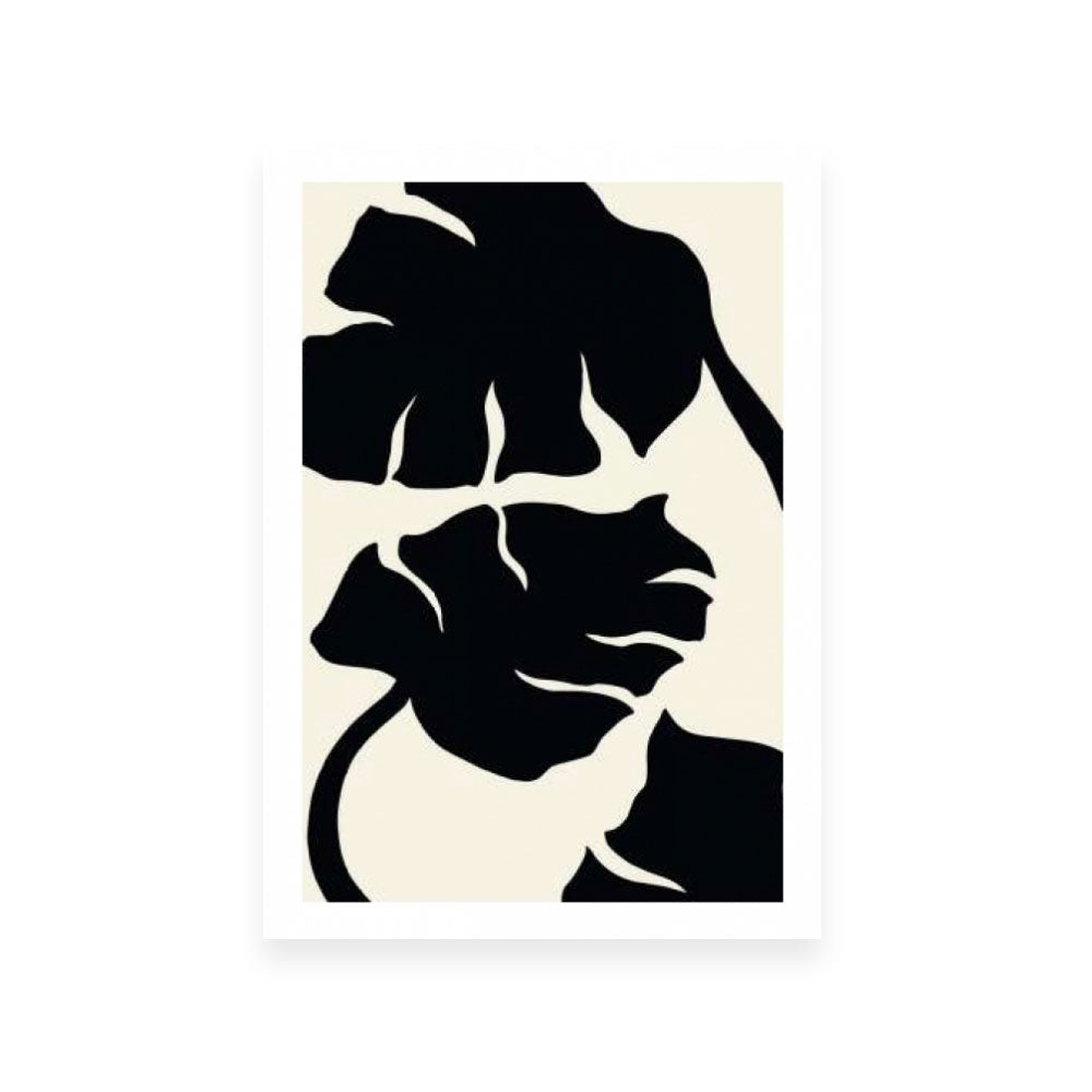 Monstera Black