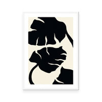 Monstera Black