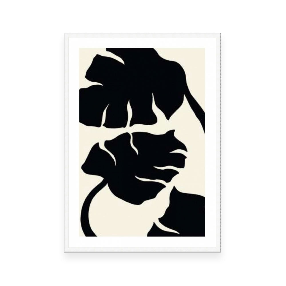 Monstera Black