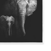 Monochrome Savanna | Mother Daughter