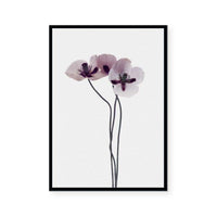 Muted Petals III