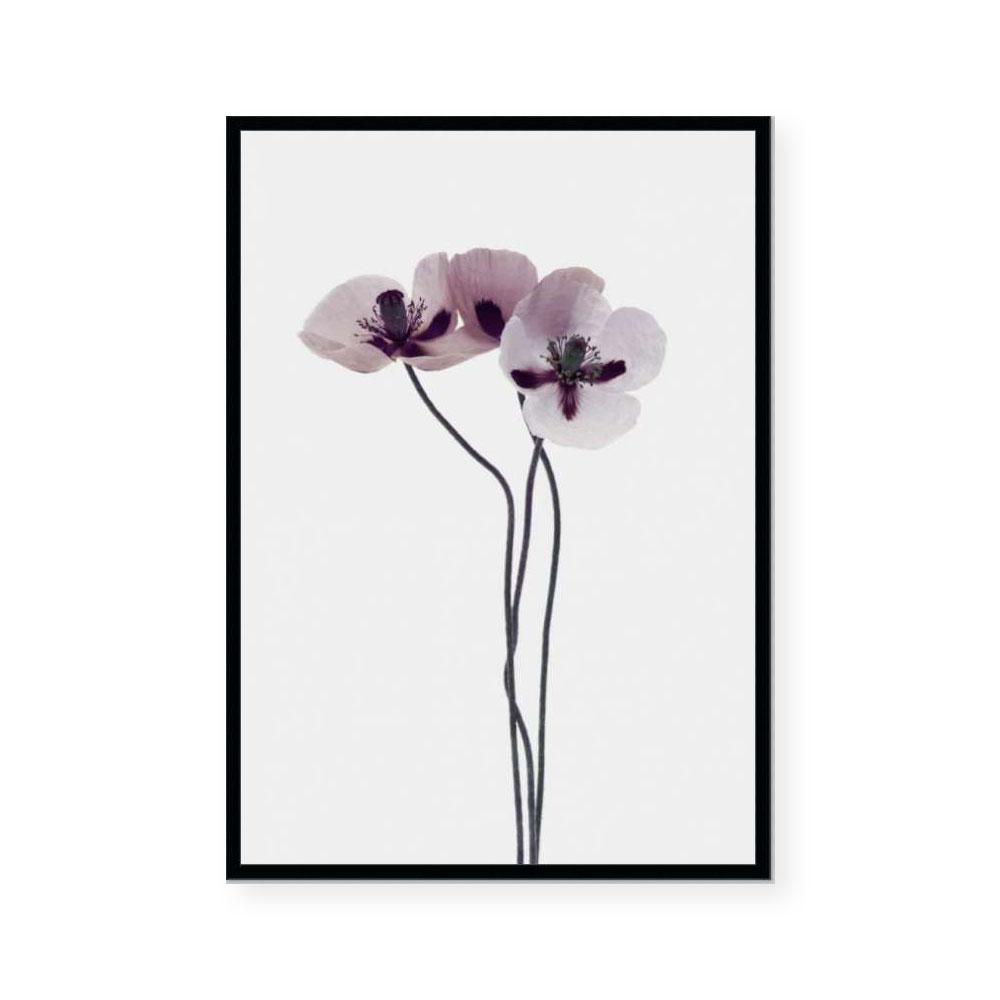 Muted Petals III