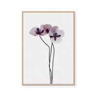 Muted Petals III
