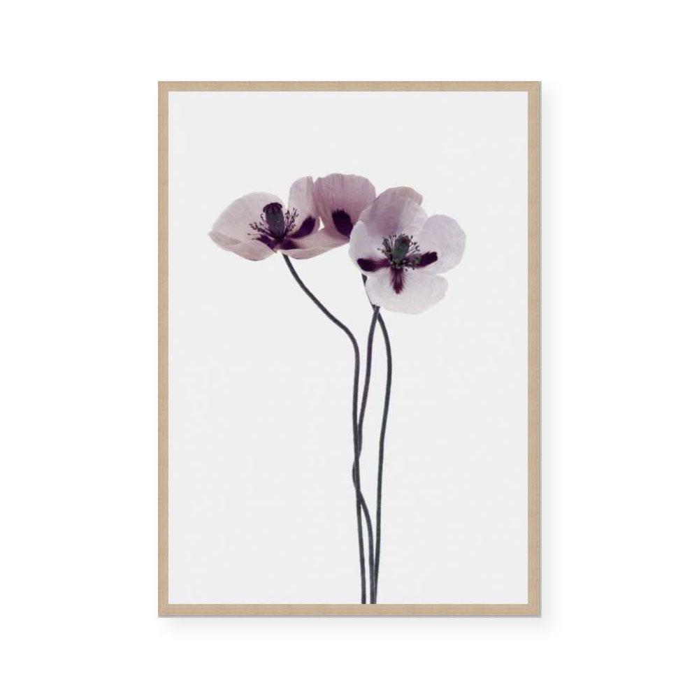 Muted Petals III