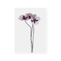 Muted Petals III