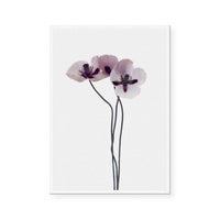 Muted Petals III