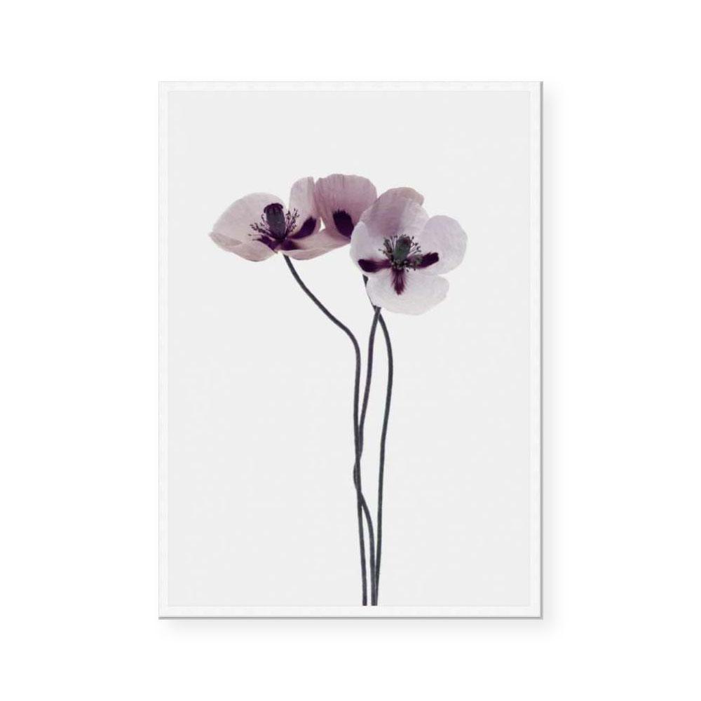 Muted Petals III