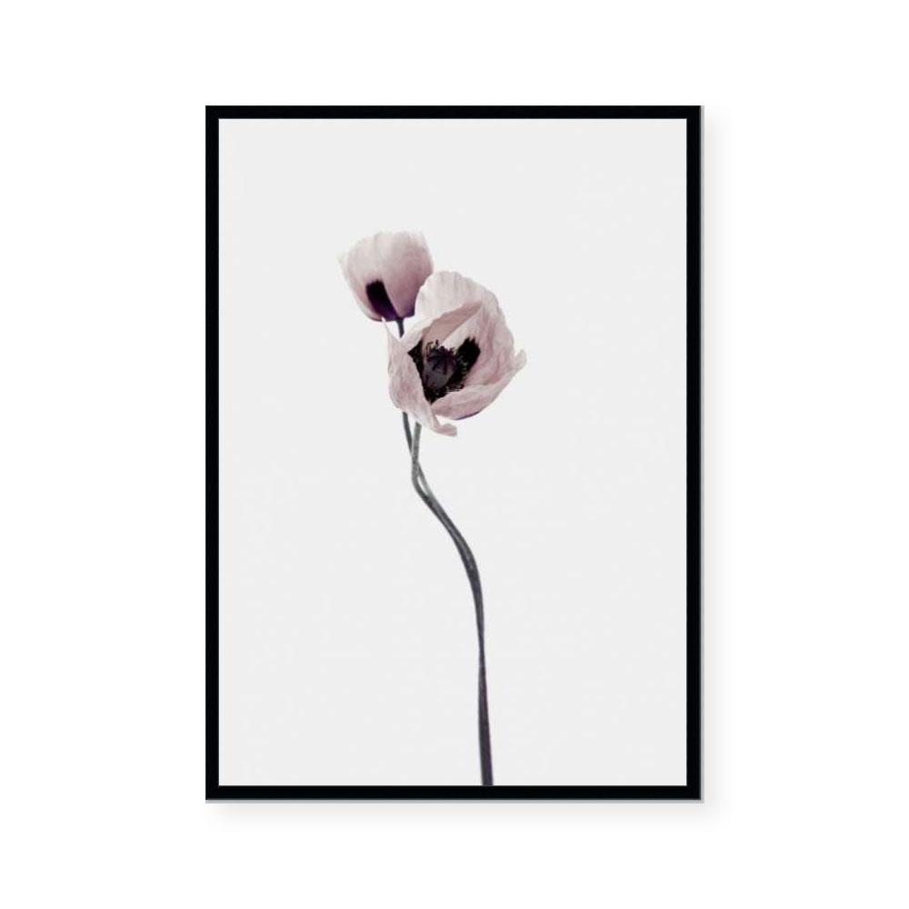 Muted Petals I