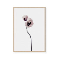 Muted Petals I