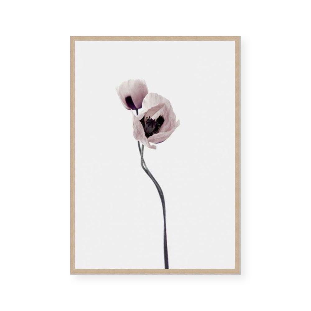 Muted Petals I