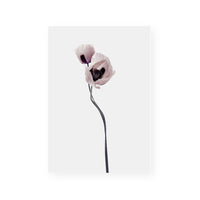 Muted Petals I