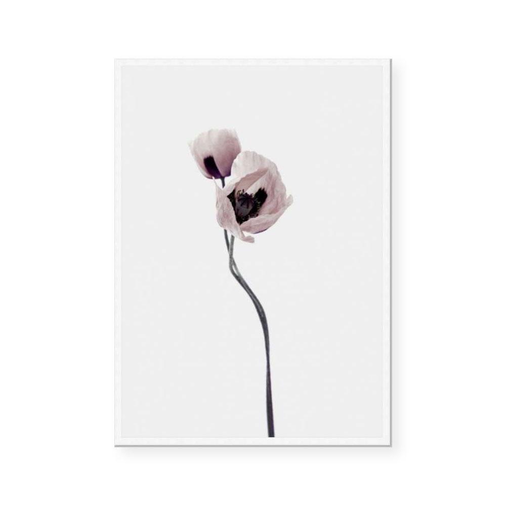 Muted Petals I