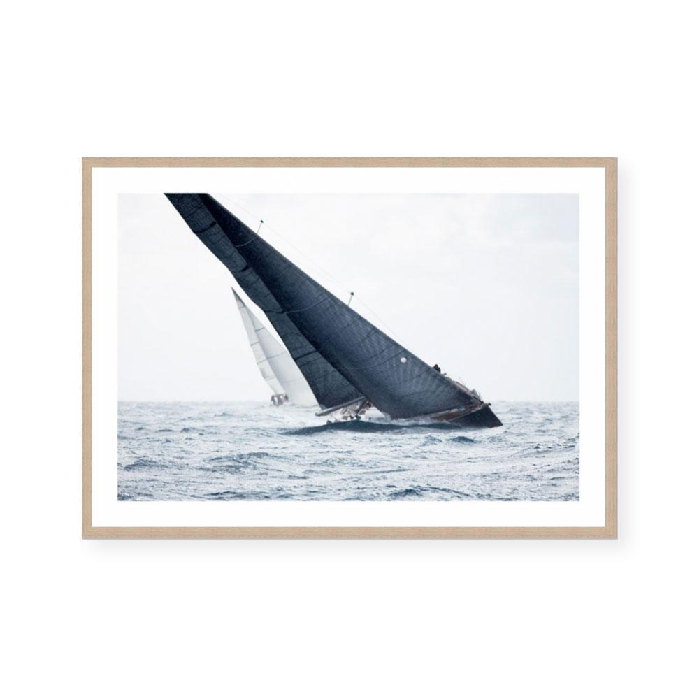 Navy Sails