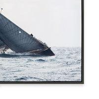Navy Sails