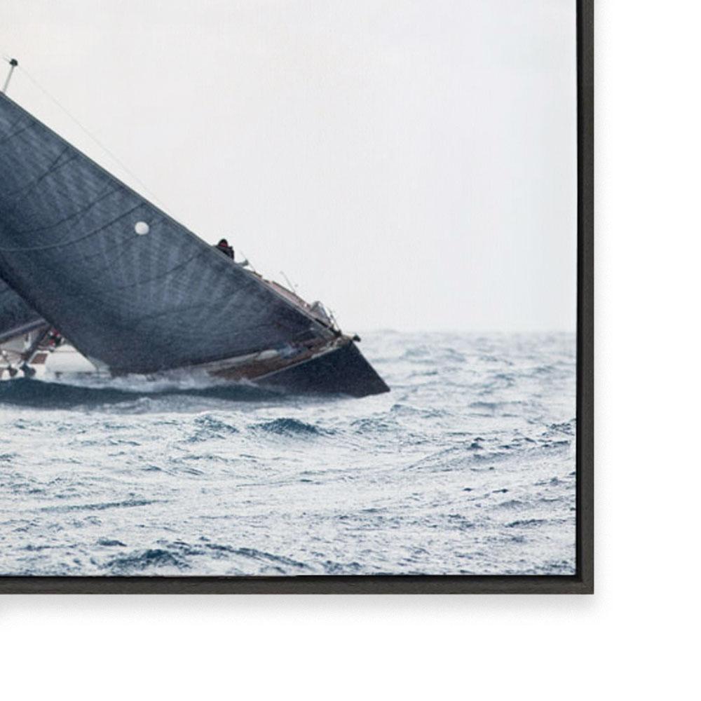 Navy Sails