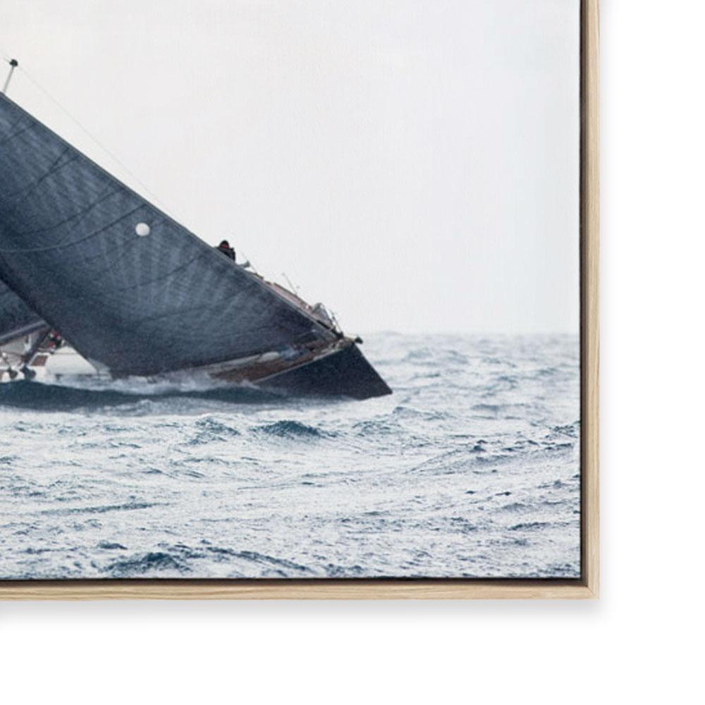Navy Sails