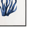 Navy Sea Kelp I