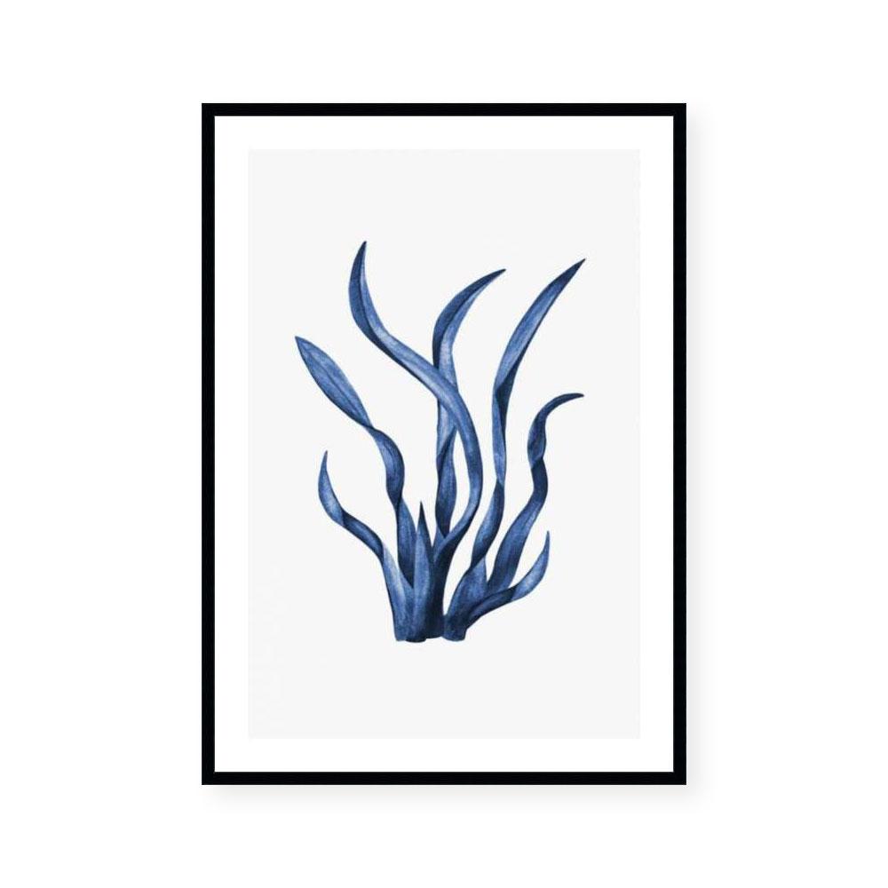 Navy Sea Kelp I