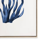Navy Sea Kelp I