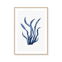 Navy Sea Kelp I