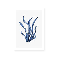 Navy Sea Kelp I