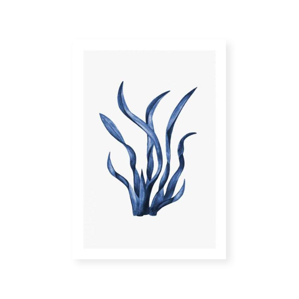 Navy Sea Kelp I